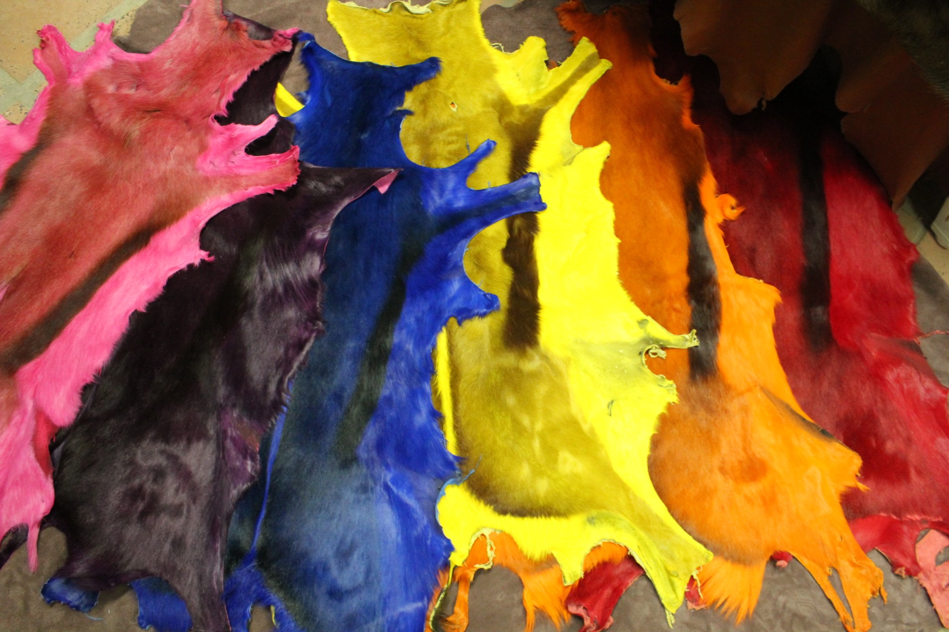 GST colour hides